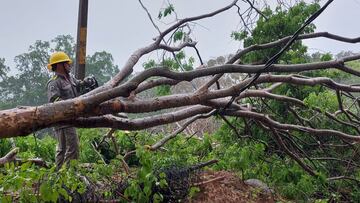 CFE restablece al 100% el servicio en estados afectados por paso de la tormenta tropical “Dolores”