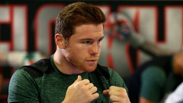 Clembuterol no es un problema sanitario en México