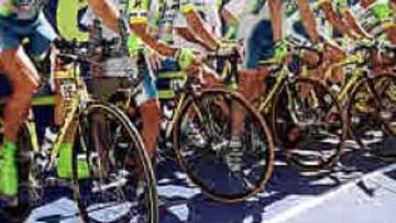 <b>NO DESAPARECERÁ.</b> El Kelme Costa Blanca contará con el patrocinio de la Generalitat valenciana. En caso de no poder continuar, la propia Generalitat patrocinará un nuevo equipo.