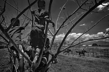 Los niños jockeys (de entre 5 y 10 años) viajan a pelo, descalzos, con poco equipo de protección y en caballos pequeños, durante las carreras de tradicionales de Maen Jaran, en la isla de Sumbawa, Indonesia.