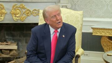 Trump declares himself a Conor McGregor fan in White House meeting