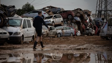 Varios coches apilados por la grúas, a 3 de noviembre de 2024, en Paiporta, Valencia, Comunidad Valenciana (España). La Generalitat valenciana ha decidido limitar durante la jornada de hoy el tránsito de personas en los municipios más afectados por la DANA, que el pasado 29 de octubre arrasó la provincia de Valencia y que deja ya una cifra de fallecidos de más de 210. Además, se ha decretado un nivel de alerta naranja por lluvias de hasta 150 litros por metro cuadrado en estas zonas.
03 NOVIEMBRE 2024
Alejandro Martínez Vélez / Europa Press
03/11/2024