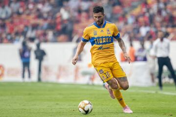 Delantero
Tigres