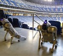 Perros robot llegan a México: Reforzarán plan de seguridad en el Estadio Monterrey para el Mundial 2026