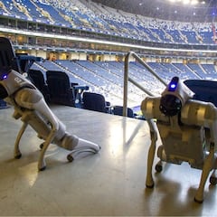 Perros robot llegan a México: Reforzarán plan de seguridad en el Estadio Monterrey para el Mundial 2026