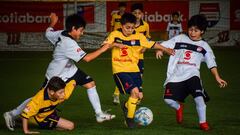 Las imágenes de la final en Temuco del Torneo Scotiabank