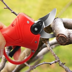 Tu jardín, a punto sin esfuerzo con estas tijeras de podar eléctricas