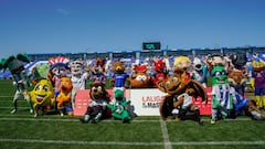 Por qué el delfín llegado de Miami sucumbió ante la fuerza de un SuperPepino