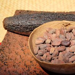 Día Mundial del Cacao: 3 museos de chocolate que puedes visitar en México