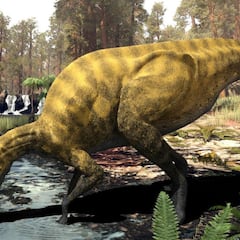 Descubren una nueva especie de dinosaurio en Castellón