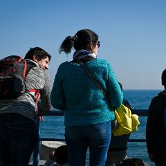 Los montos distintos de la Asignación Familiar reajustada: pagos y cuándo comienza