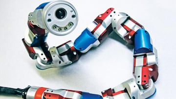 Crean una serpiente robótica capaz de nadar bajo el agua