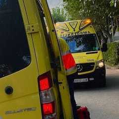 Muere una mujer de 96 años tras el ataque de dos perros en Alguazas