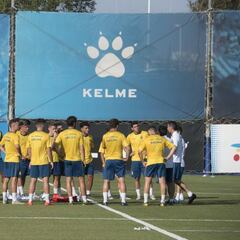 El Espanyol, desbordado: supera ya los 20.000 socios