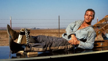 Kevin Costner picks the 5 perfect movies in film history and you may not have seen any of them