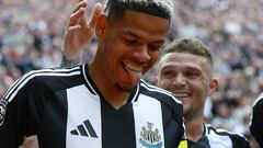 Newcastle United vs Ipswich summary: score, stats, goals and highlights | Premier League 2024/25