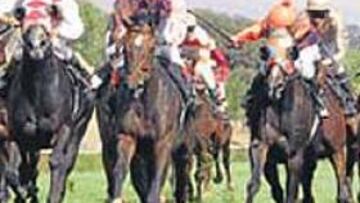 <b>RAIL LINK GANÓ EL ARCO DE TRIUNFO.</b> Rail Link, del príncipe Khalib Abdullah, se impuso ayer con la monta de Sebastián Pasquier en la 85 edición del Arco de Triunfo. Segundo, a un cuello, fue Pride.