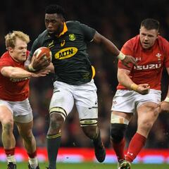 Kolisi to become South Africa's first black Test captain