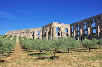 El pa¨ªs luso se sit¨²a en este top cinco de productores gracias a que en los ¨²ltimos tiempos han crecido los campos de cultivo de olivares de regad¨ªo, cosechando entre 70.000 y 120.000 toneladas de media. La ¨²ltima producci¨®n fue de 157.600 toneladas. En la foto, un olivar con el acueducto de Amoreira en Elvas al fondo.
