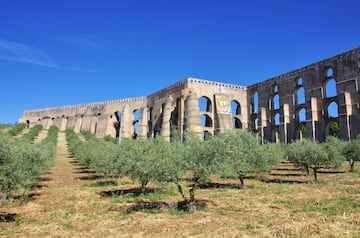 El país luso se sitúa en este top cinco de productores gracias a que en los últimos tiempos han crecido los campos de cultivo de olivares de regadío, cosechando entre 70.000 y 120.000 toneladas de media. La última producción fue de 157.600 toneladas. En la foto, un olivar con el acueducto de Amoreira en Elvas al fondo. 