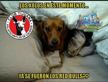 Los memes no paran de reír por la eliminación de Tigres y Xolos