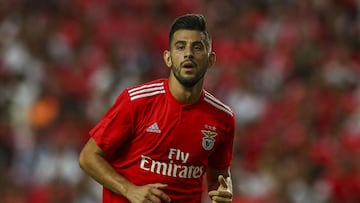 Pizzi signs new deal with Benfica