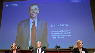 The prize was awarded to the Swedish geneticist for ground-breaking discoveries about the relationship between humans and our ancient ancestors.