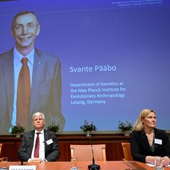 Nobel Prize for medicine awarded to Svante Paabo for sequencing Neanderthal DNA