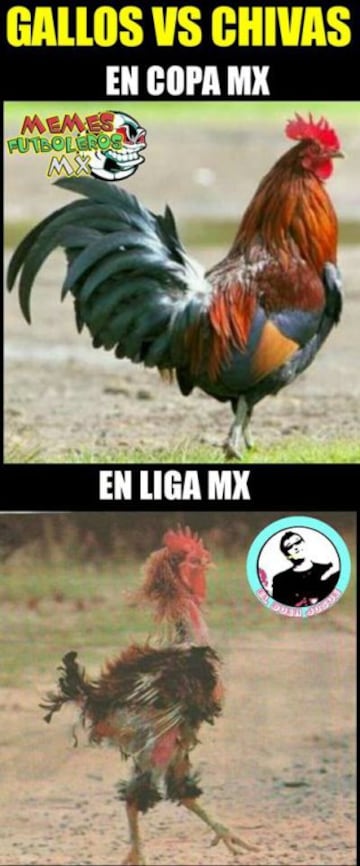 Los mejores Memes del Querétaro vs Chivas