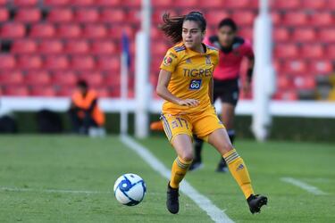 La Hincha Felina: El proyecto inspirado en Tigres Femenil