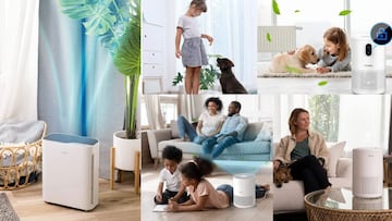 Cuatro purificadores de aire perfectos para eliminar los alérgenos de tu casa