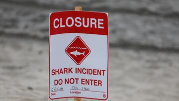 Though sharks are commonly considered a real danger to humans, we pose a far greater threat to them. How common are fatal shark attacks?