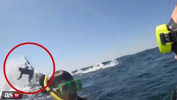 Una ballena de más de 30 toneladas hace saltar por los aires a una guía de snorkel: el impacto es increíble