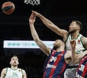 El Baskonia se despide de la Euroliga con una victoria