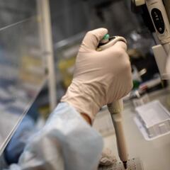 Los pacientes con casos graves de COVID-19 pueden tener una inmunidad más fuerte