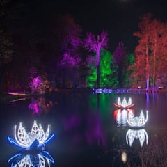El Jardín Botánico se ilumina por Navidad: fechas y cómo conseguir entradas