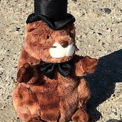 ¿Cómo funciona el día de la marmota? ¿Qué ocurre si la marmota ve su sombra?