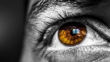 Google usará la cámara de tu móvil para prevenir problemas de visión