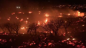 Incendio forestal El Paso, en La Palma.