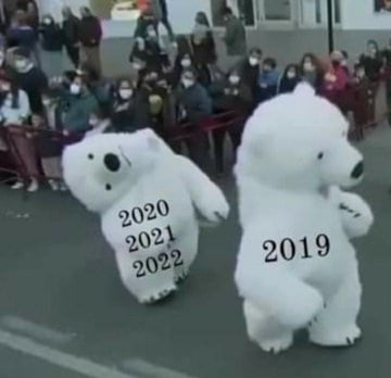 Los mejores memes del oso del cuello roto de la cabalgata de Reyes de Cádiz