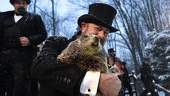 Este 2 de febrero se celebra el Día de la Marmota en Estados Unidos, pero, ¿conoces la historia, el origen de la tradición y por qué se festeja hoy?