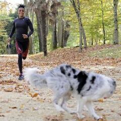Trihas Gebre, una etíope donostiarra para el cross español