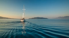 They descend to a depth of 1,054 meters in the Caribbean and a dark shadow leaves scientists stunned