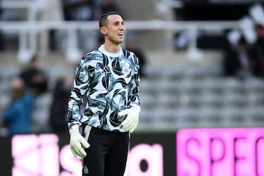 El actual portero titular del Sevilla FC estuvo la pasada temporada defendiendo los colores del Newcastle United, de hecho está cedido en el Pizjuán por el club inglés. El portero griego solo jugó un partido de Copa de la Liga. 