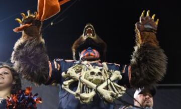 Los Bears dieron miedo por primera vez en muuuuuuchos a?os y se comieron a los Vikings gracias a su defensa. En la foto, un aficionado lleva los restos mortales de Sam Bradford a modo de ornamento.