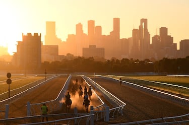 La Copa de Melbourne de carreras de caballos pura sangre es la competición ecuestre anual más famosa de Australia. Se celebra el primer martes de noviembre desde 1861, coincidiendo con el final del Carnaval de Primavera australiano. En la imagen, un grupo de caballos durante un entrenamiento en el hipódromo de Flemington.