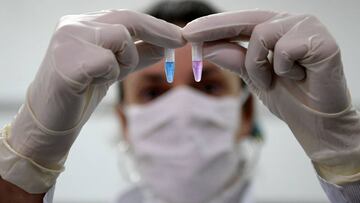 Coronavirus en Argentina: ¿qué factores explican el aumento de casos?