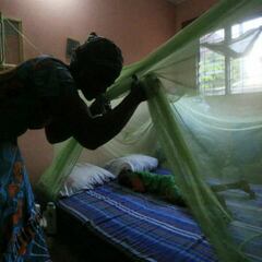 Así es Mosquirix, la vacuna recomendada por la OMS contra la malaria tras 100 años