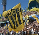 Asesinan a una aficionada de Rosario Central al recibir una pedrada en la cabeza