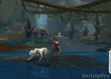 Guild Wars, Impresiones